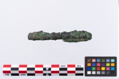 Foto von Bronzearmreif (NHMW-PRAE-002309)